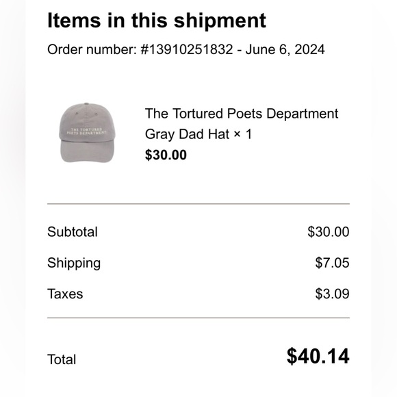 The Tortured Poets Department Gray Dad Hat - Picture 8 of 8